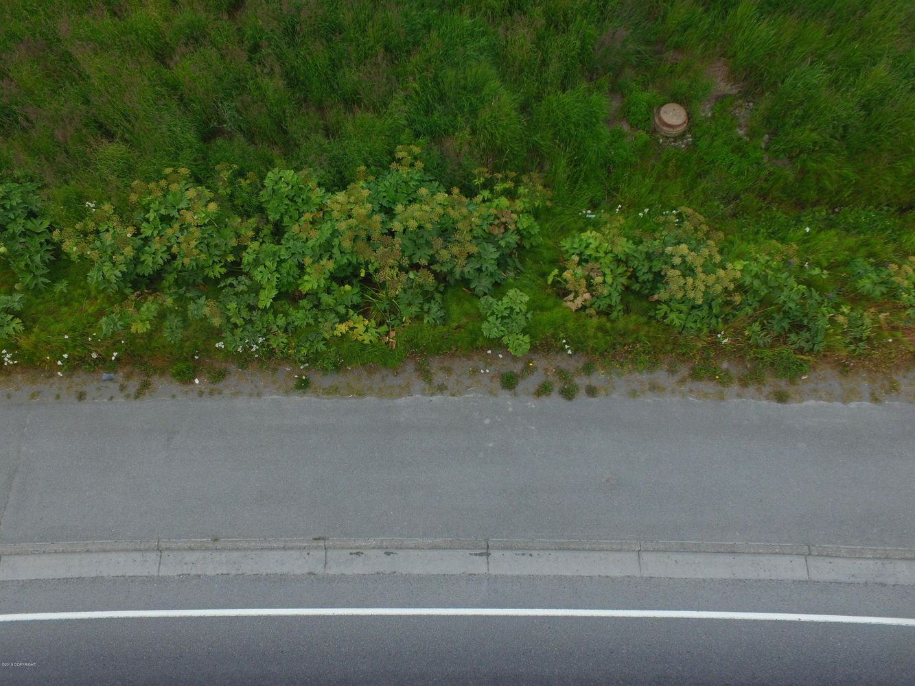 3658 Forest Glen Dr, Homer, AK 99603
